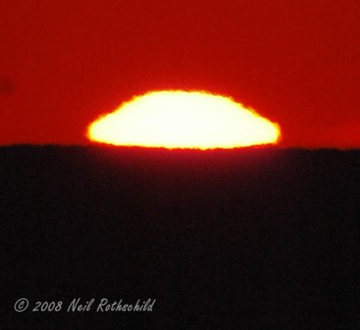 ocgs_7770.JPG