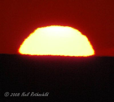 ocgs_7772.JPG