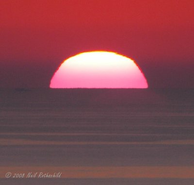 ocgs_7934.JPG