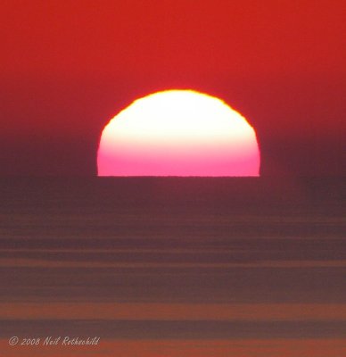 ocgs_7939.JPG
