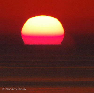 ocgs_7944.JPG