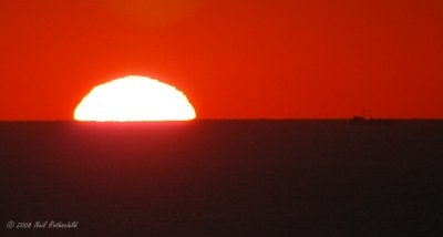 ocgs_8868.JPG