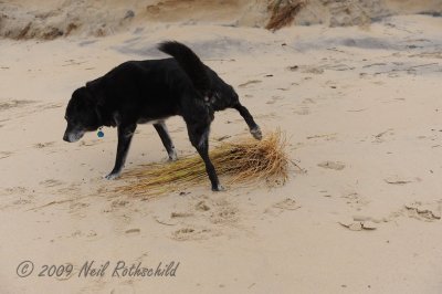 DSCN_171767.JPG