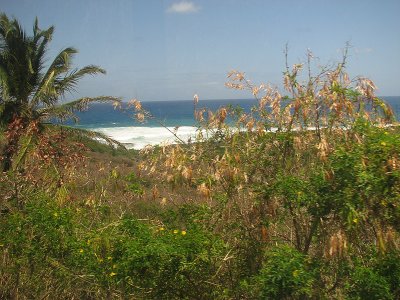 View from the St. Kitts Scenic Railway