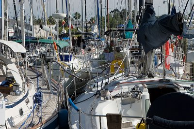 IMG_6905.jpg