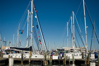 IMG_7241.jpg