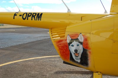 F-OPRM going to the dogs