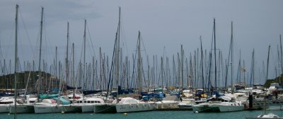 Port du Sud sailboat mast forest