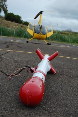 magnetometer bird