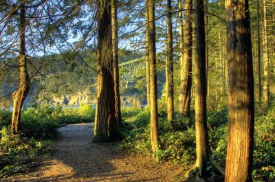 Deception Pass Bridge, WA (South leg)