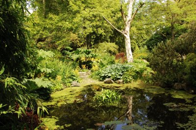 UVicGarden1