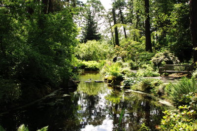 UVicGarden2