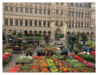 Flower market at the Grand Place