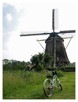 Windmill De Rieker?