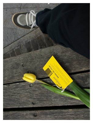 A free yellow tulip