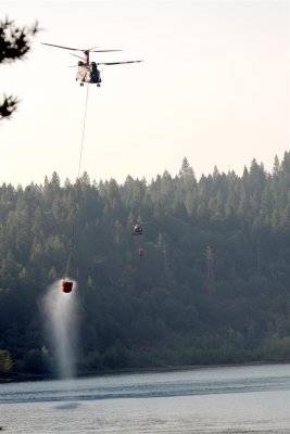 Chinook and Blackhawk