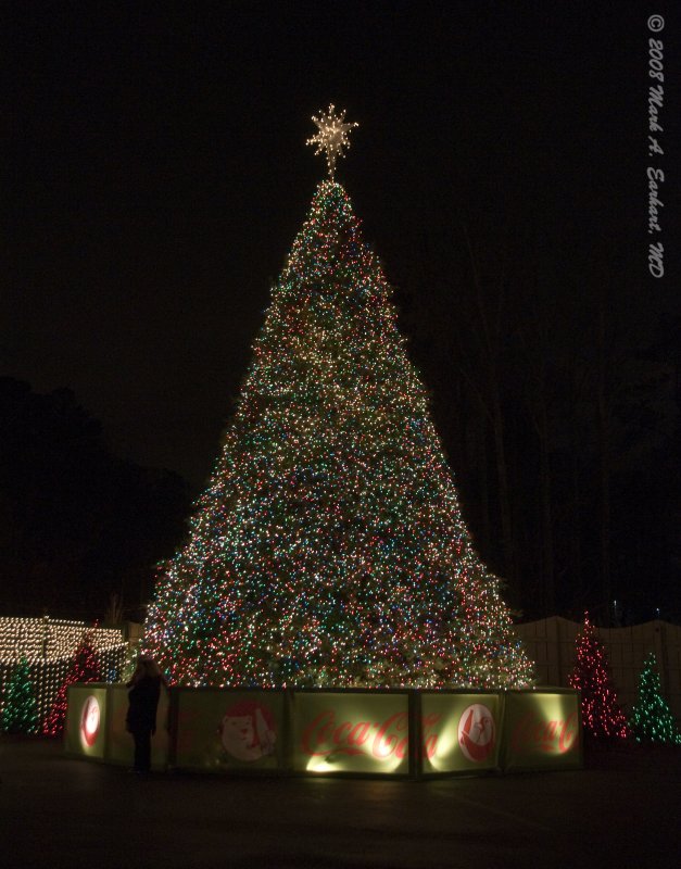 O Christmas Tree