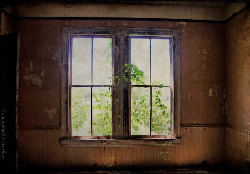 Illuminated Decay