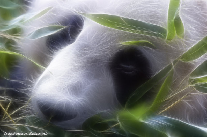 Happy Panda Fracalized