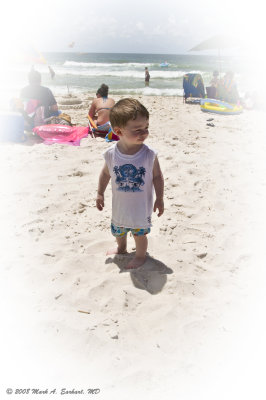 A Day In The Sun