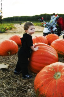 Eli & The Great Pumpkin 3