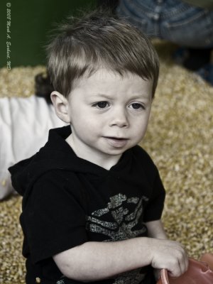 Corn Box 7