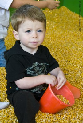 Corn Box 6