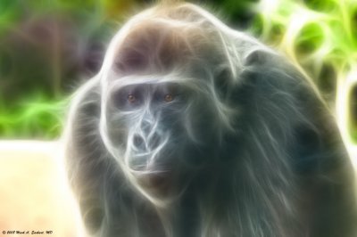 Abstract Ape