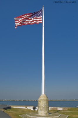 Home of the Brave...and Free
