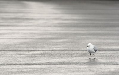 Beaches027.jpg