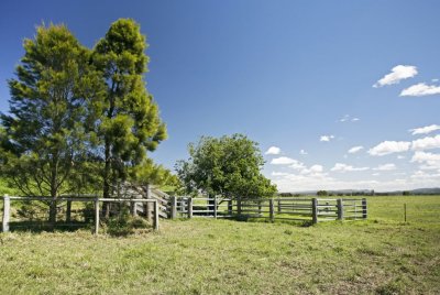 Hinton005.jpg