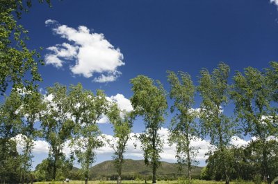 Hinton008.jpg