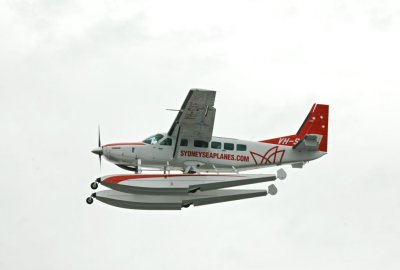 Nobbys126.jpg