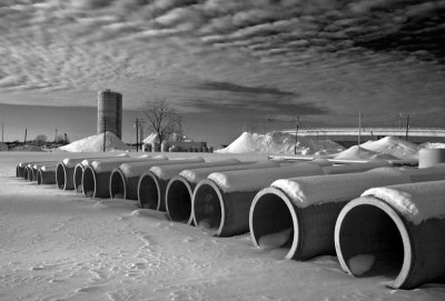 IMG_6516bw_09web.jpg