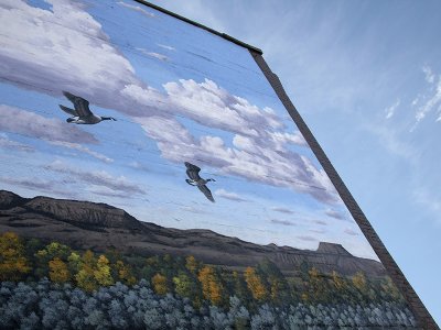 Wall Mural vs Real Sky