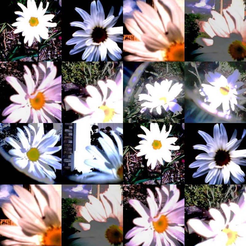 collage182.jpg