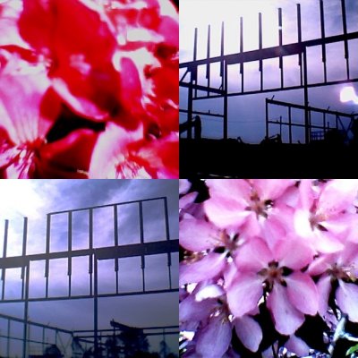 collage161.jpg