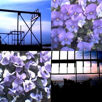 collage162.jpg