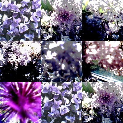 collage168.jpg