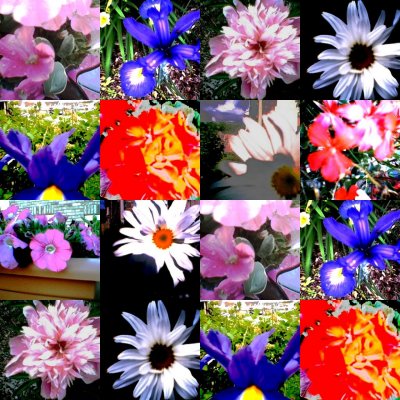 collage185.jpg