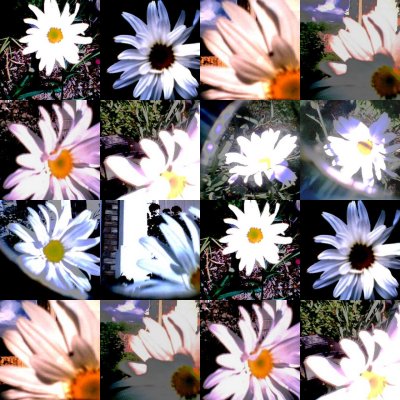 collage182.jpg