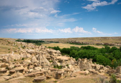 DSC_1017trj.jpg