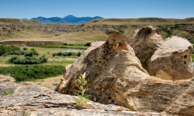 DSC_1029trj.jpg