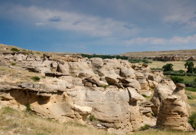 DSC_1032trj.jpg