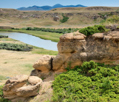 DSC_1036trj.jpg