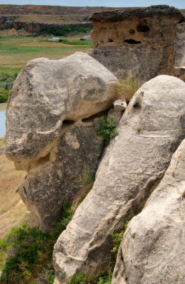 DSC_1041trj.jpg