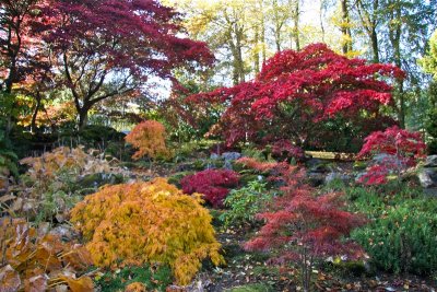 Johnston  Garden-- Variety of many colors