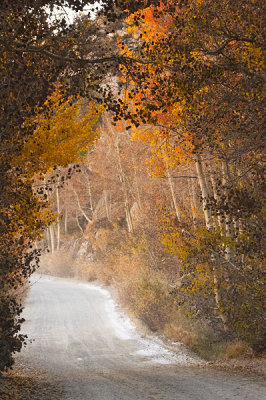 Eastern Sierras Fall 2006