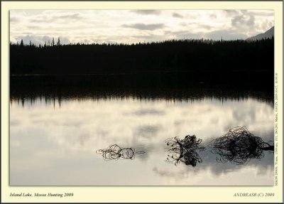 _DSC1566cs.jpg
