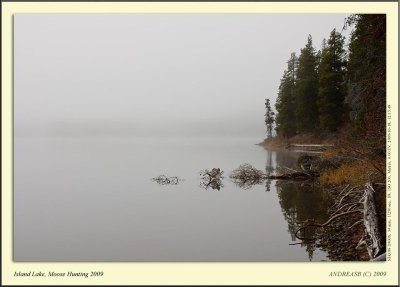 _DSC1573cs.jpg